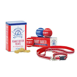 Canines for  Veterans Dog Collar