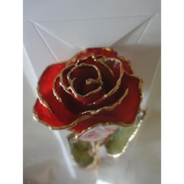 Red Real Rose