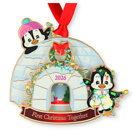 2026 Our First Christmas Ornament