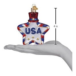 USA Star Glass Ornament