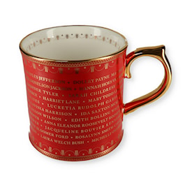 Past Presidents Mug from Washington to Obama