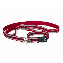 Canines for  Veterans Dog Collar