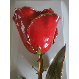 Red Real Rose