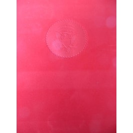 1972 Nixon Gift Print Featuring Theodore Roosevelt