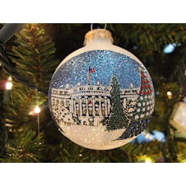 The National Christmas Tree on the Ellipse