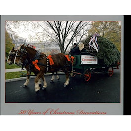 Christmas at the White House