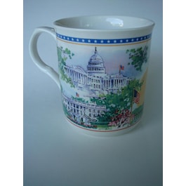 DC Monuments in Springtime Cup