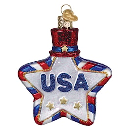 Old World Christmas USA Star glass ornament on a white background