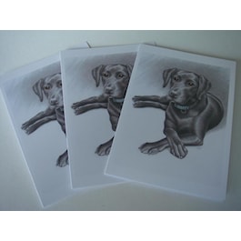 British  Black Labador Notecards