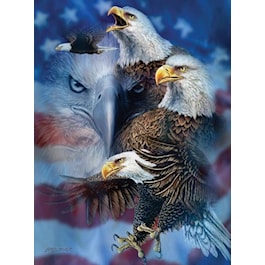 Patriotic Eagles Puzzle
