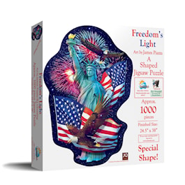 Freedom's Light Puzzle