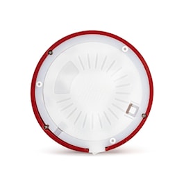 Winnie-the-Pooh Christmas Lit Pooh &amp; Piglet  Snow Globe