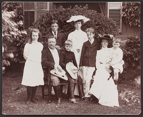 President Theodore Roosevelt and family, July 1903. Pach Brothers. Library of Congress, LC-DIG-ppmsca-35756.