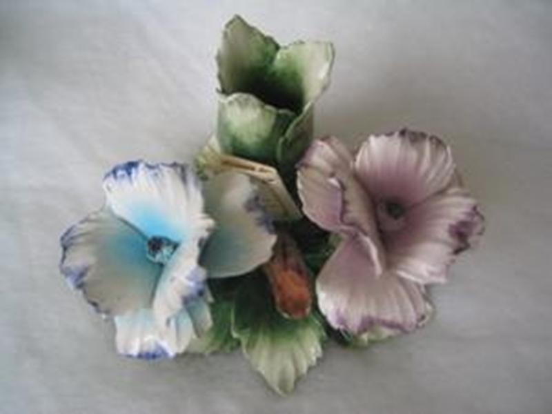 Pink  and Blue Flowers