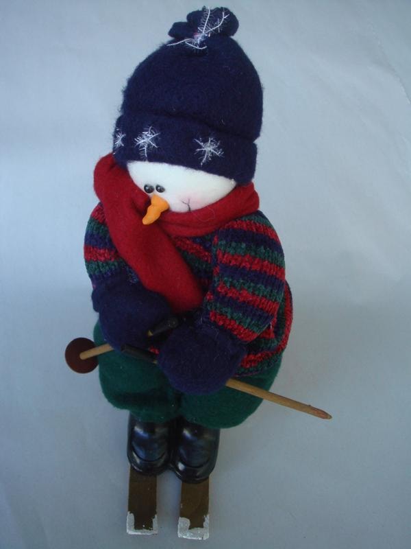 Patriotic Skier