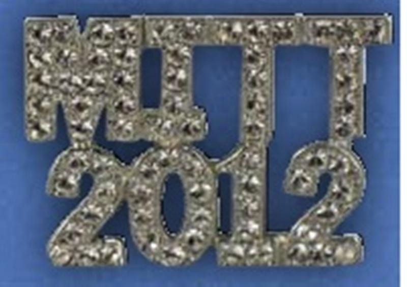 Mitt 2012 Pin