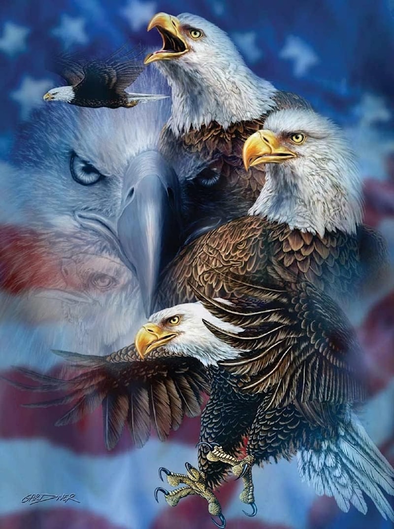 Patriotic Eagles Puzzle